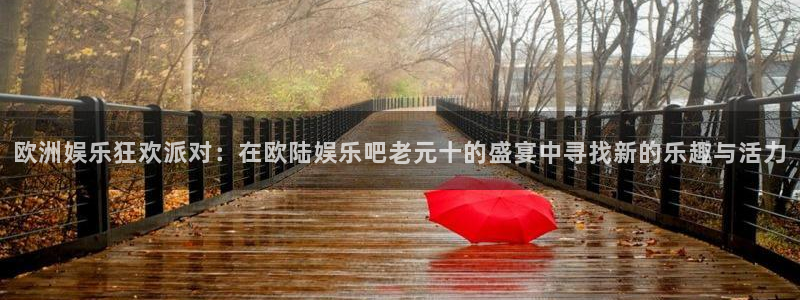 杏悦体育官网入口登录：欧洲娱乐狂欢派对：在欧陆娱乐吧老元十的盛宴中寻找新的乐趣与