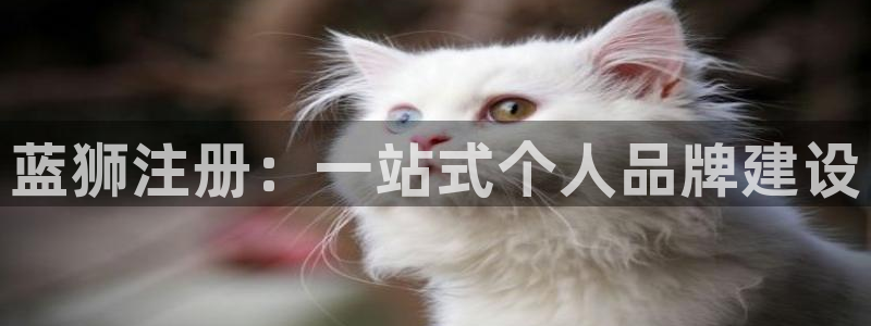 杏悦体育2官网入口：蓝狮注册：一站式个人品牌建设