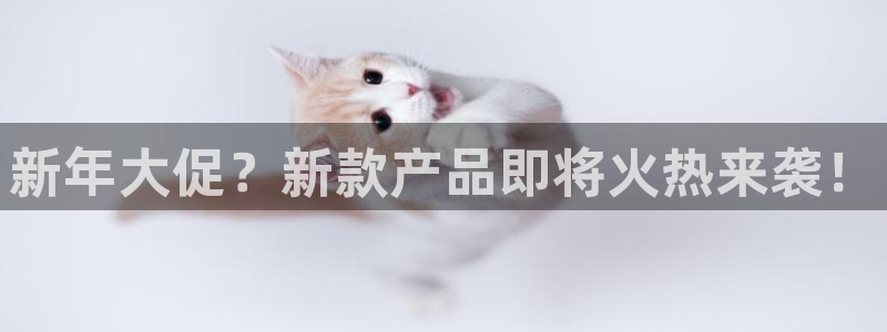 杏悦4开户：新年大促？新款产品即将火热来袭！