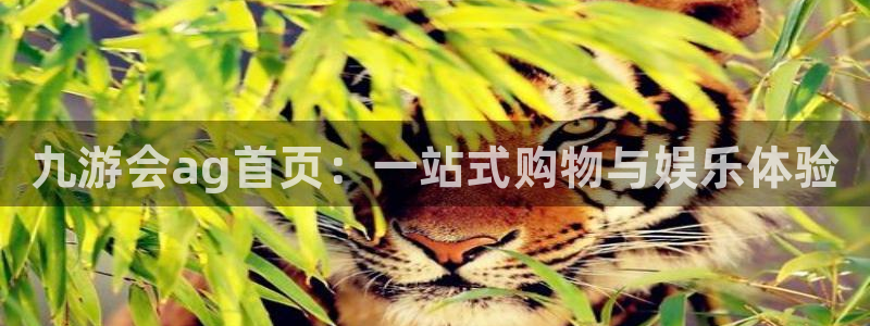 杏悦体育3：九游会ag首页：一站式购物与娱乐体验
