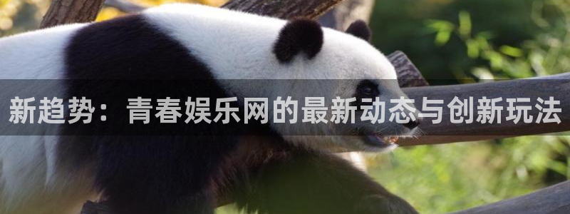 杏悦官网：新趋势：青春娱乐网的最新动态与创新玩法