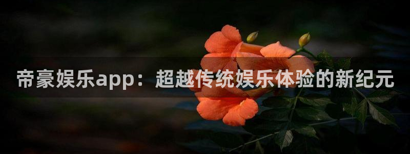 杏悦体育平台开号链接