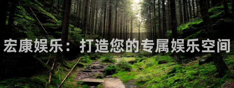 杏悦体育平台注册：宏康娱乐：打造您的专属娱乐空间