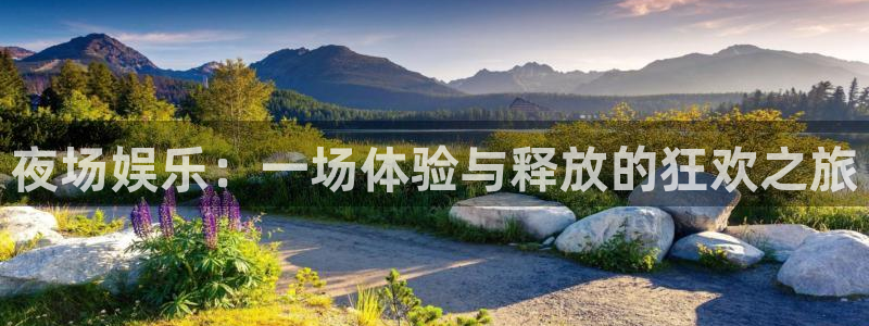 杏悦体育在线注册：夜场娱乐：一场体验与释放的狂欢之旅