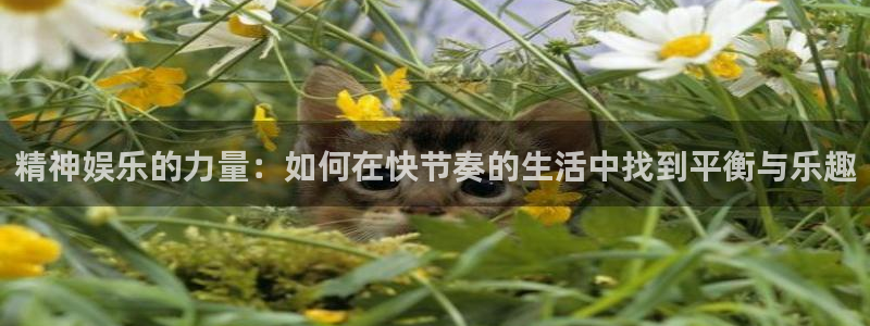 杏悦k：精神娱乐的力量：如何在快节奏的生活中找到平衡与乐趣