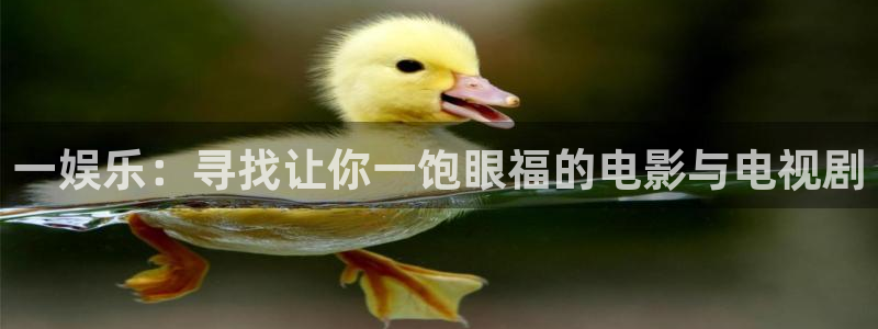 杏悦电子有限公司：一娱乐：寻找让你一饱眼福的电影与电视剧