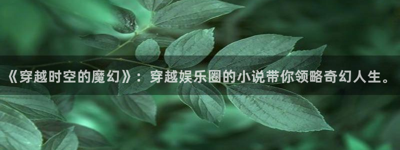 杏悦体育代理申请流程：《穿越时空的魔幻》：穿越娱乐圈的小说带你领略奇幻人生。
