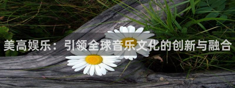 杏悦体育注册：美高娱乐：引领全球音乐文化的创新与融合