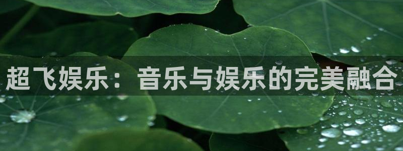 东莞市杏悦电子科技有限公司：超飞娱乐：音乐与娱乐的完美融合