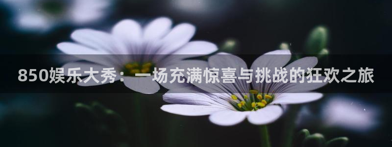 杏悦体育平台开号链接：850娱乐大秀：一场充满惊喜与挑战的狂欢之旅