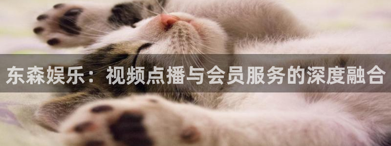 杏悦f平台注册：东森娱乐：视频点播与会员服务的深度融合