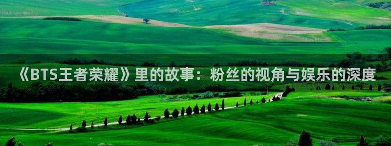 杏悦体育合法嘛：《BTS王者荣耀》里的故事：粉丝的视角与娱乐的深度