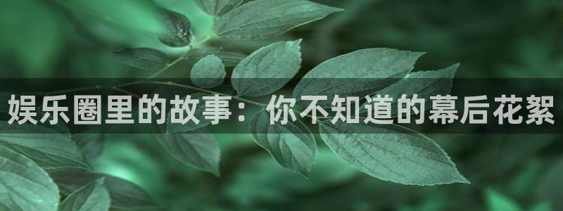杏悦5：娱乐圈里的故事：你不知道的幕后花絮