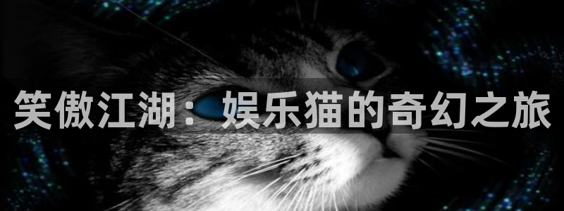 杏悦2登录入口：笑傲江湖：娱乐猫的奇幻之旅