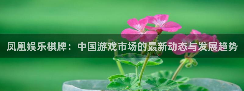 杏悦4开户：凤凰娱乐棋牌：中国游戏市场的最新动态与发展趋势