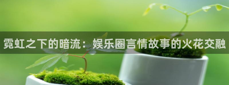 杏悦体育平台登录入口：霓虹之下的暗流：娱乐圈言情故事的火花交融