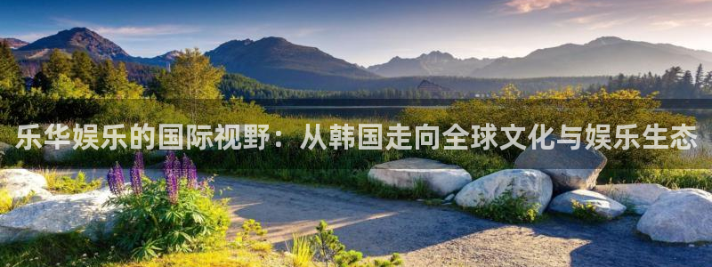 上海杏悦汽车电子有限公司：乐华娱乐的国际视野：从韩国走向全球文化与娱乐生态