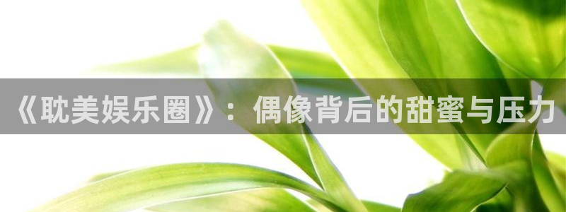 杏悦2登录地址：《耽美娱乐圈》：偶像背后的甜蜜与压力