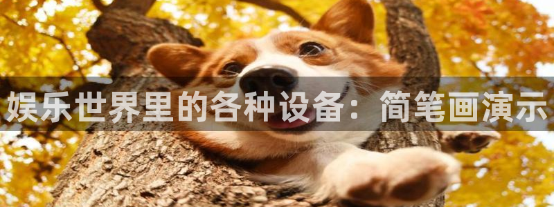 杏悦4注册：娱乐世界里的各种设备：简笔画演示