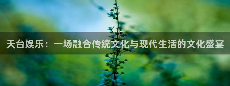 成都杏悦电子有限公司：天台娱乐：一场融合传统文化与现代生活的文化盛宴